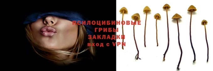 метамфетамин Алзамай